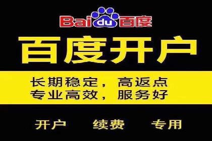 某品牌SEM推广策略的成效与启示