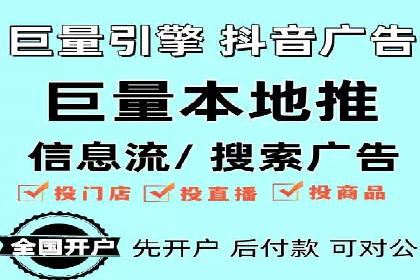 谷歌竞价广告与SEO结合的营销案例解析